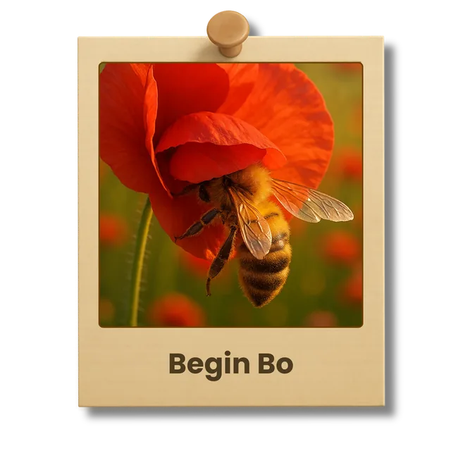 Begin Bo — Taakinitiatie